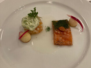 Abbildung einer Vorspeise mit Lachs, Salat, Gemüsewürfeln und Beilagen.